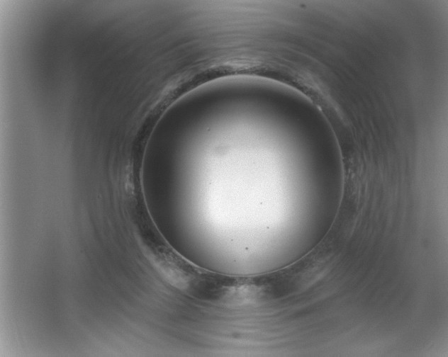 X0000065950212200603061133