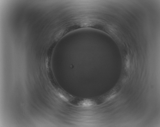 X0000065950219200603061133