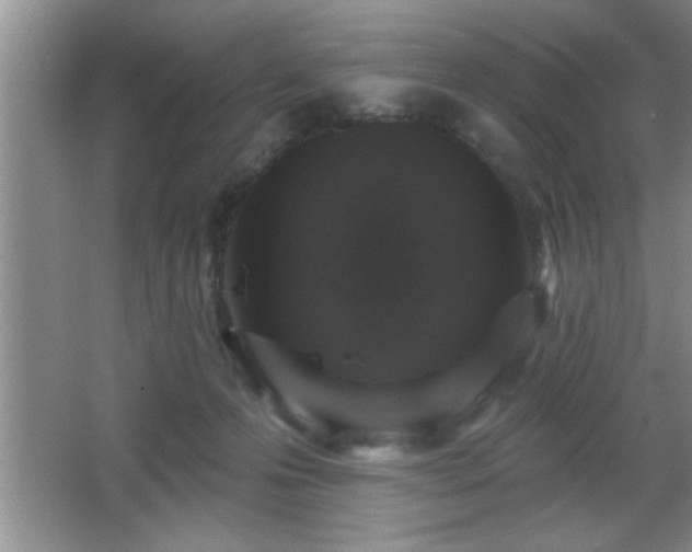 X0000065950223200603061133