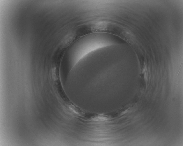 X0000065950224200603061133