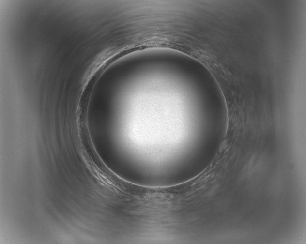 X0000065950242200603061132