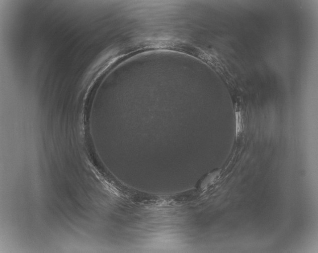 X0000065950243200603061132