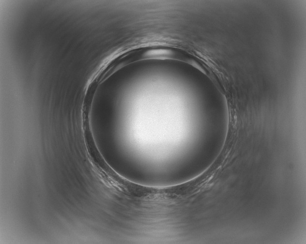 X0000065950244200603061132