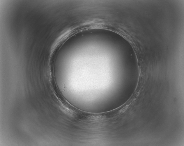 X0000065950245200603061132