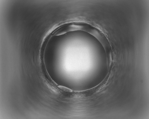 X0000065950248200603061132