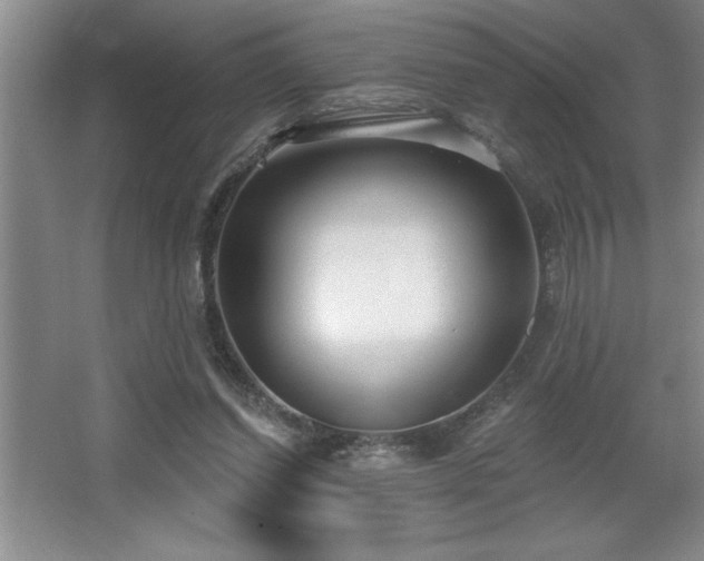 X0000065950254200603061132
