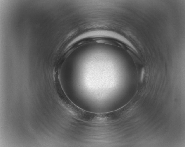 X0000065950260200603061132