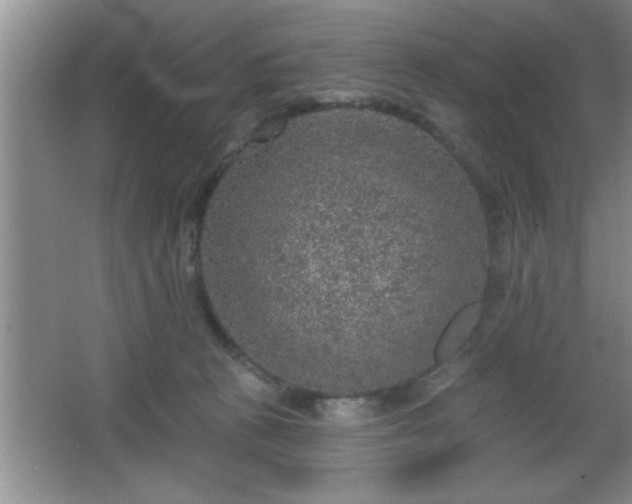 X0000065950273200603061132