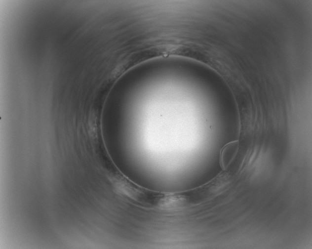 X0000065950274200603061132