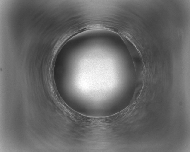 X0000065950289200603061132