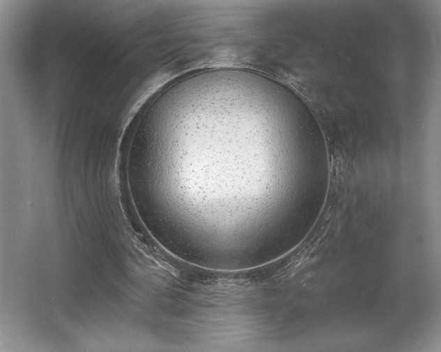 X0000065950292200603061131