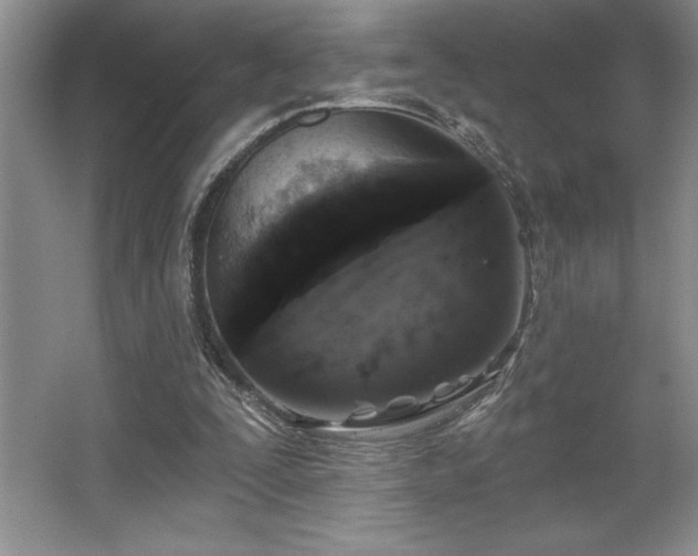 X0000065950295200603061131