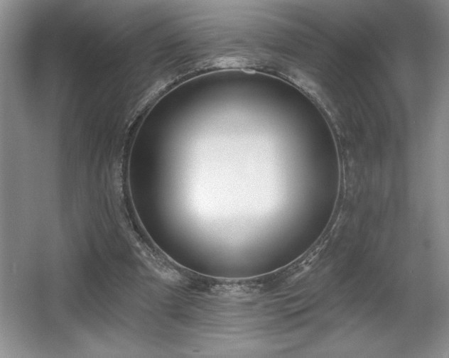 X0000065950297200603061131