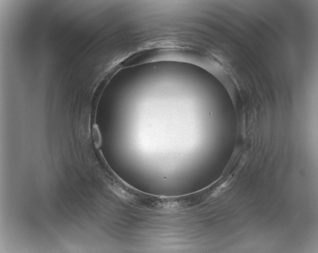 X0000065950301200603061131