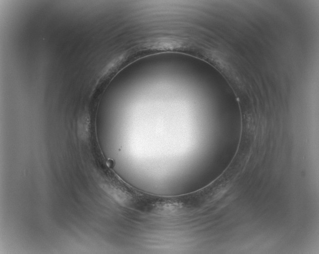 X0000065950304200603061131