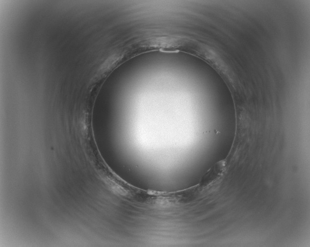 X0000065950305200603061131