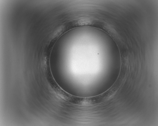 X0000065950308200603061131