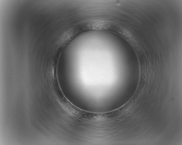 X0000065950310200603061131