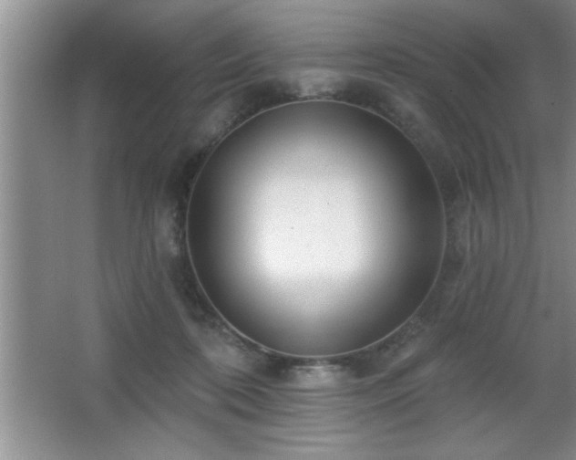 X0000065950316200603061131