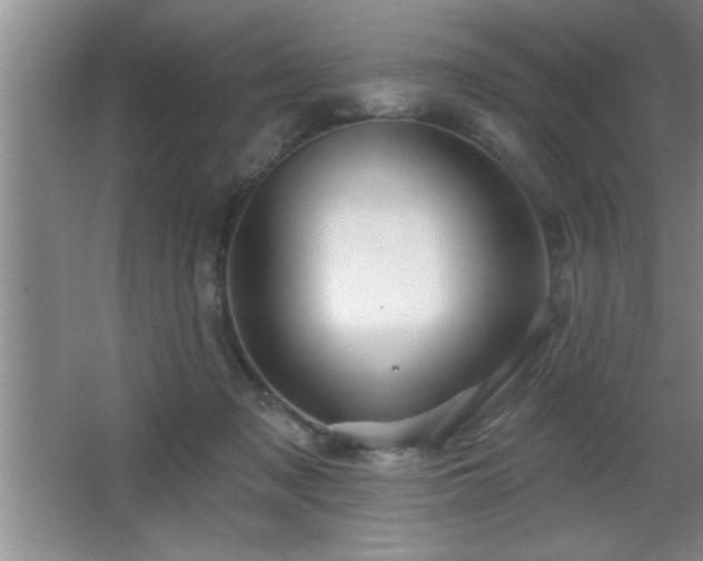 X0000065950317200603061131