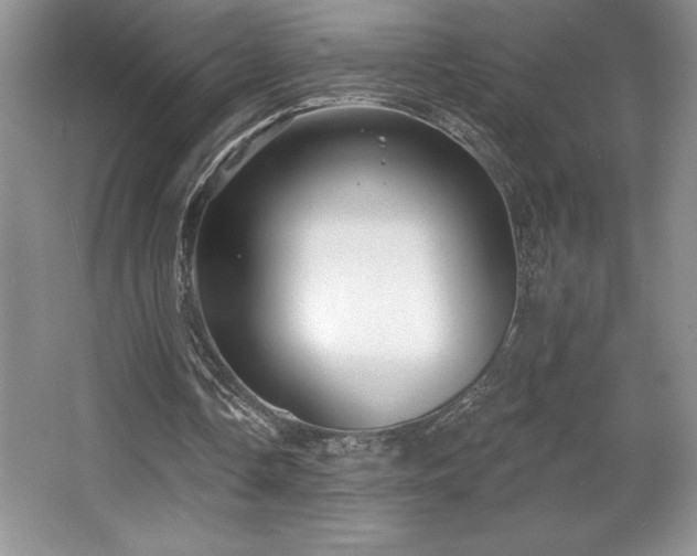 X0000065950338200603061130