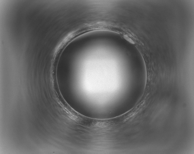 X0000065950341200603061130