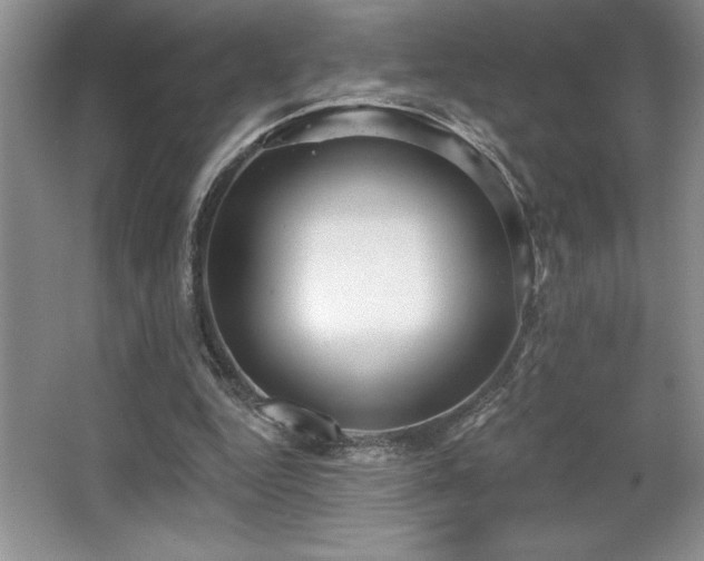X0000065950344200603061130