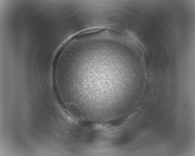 X0000065950346200603061130