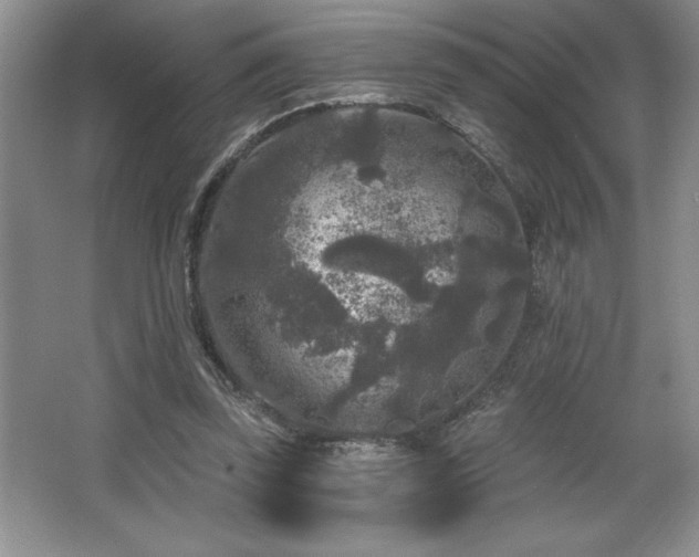 X0000065950347200603061130