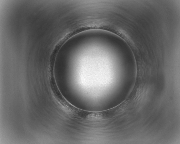 X0000065950354200603061130