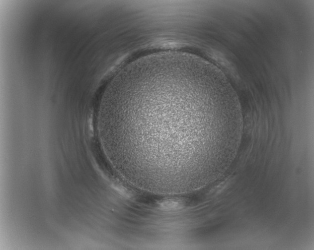 X0000065950358200603061130
