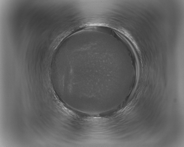 X0000065950385200603061130