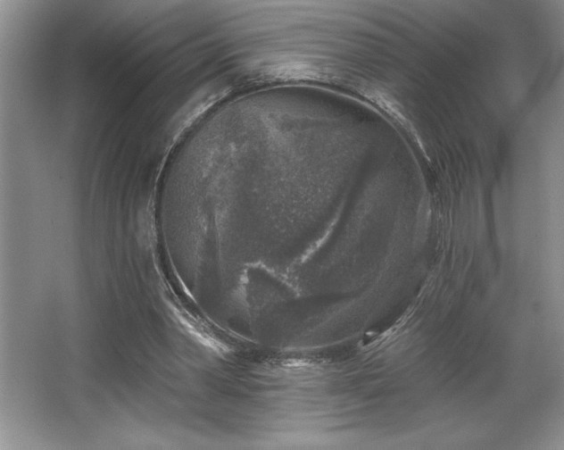 X0000065950390200603061130