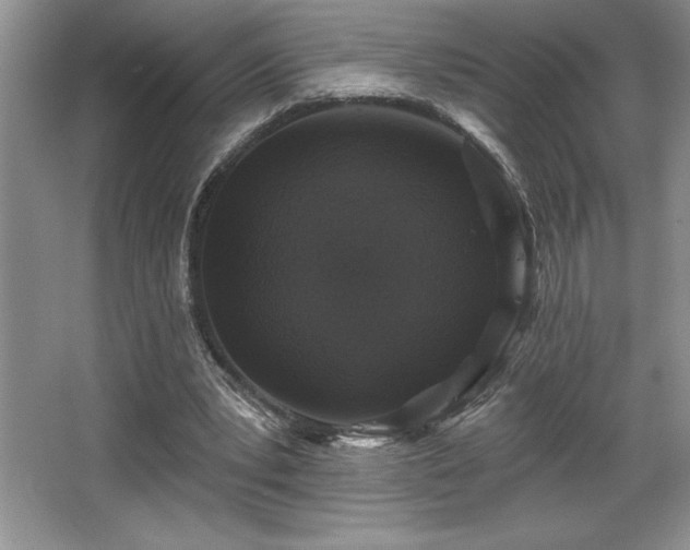X0000065950391200603061130