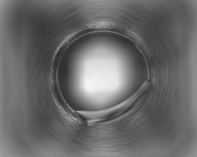 X0000065950392200603061130