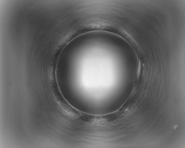 X0000065950403200603061130