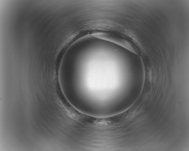 X0000065950407200603061130