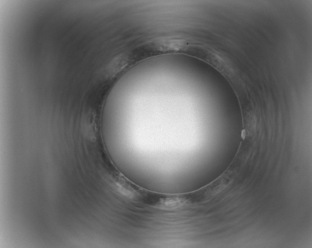 X0000065950414200603061129