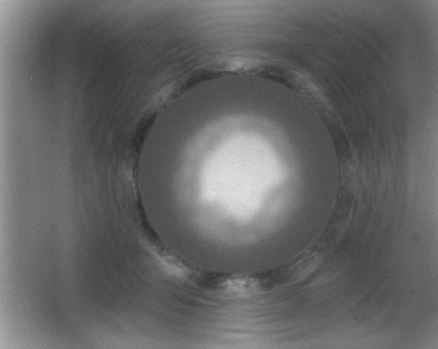 X0000065950415200603061129