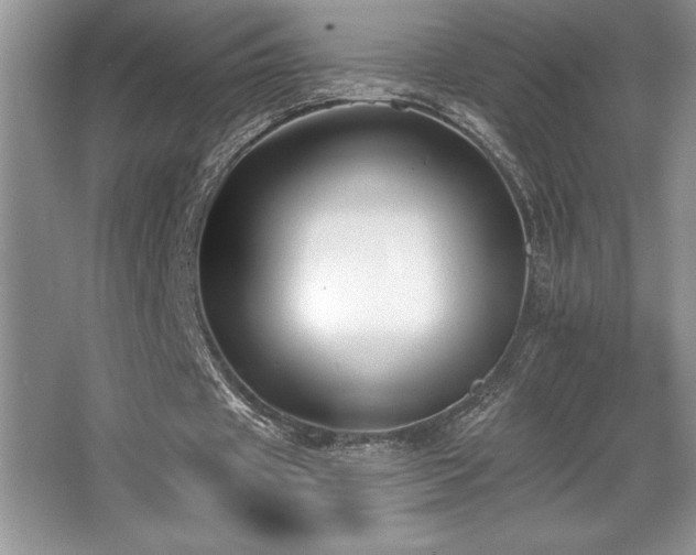 X0000065950433200603061128