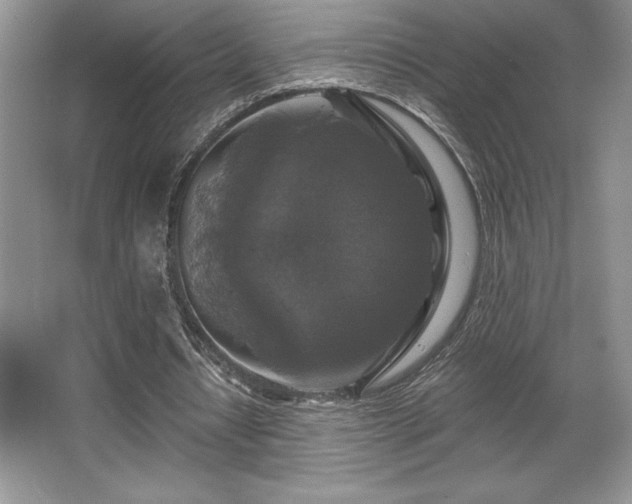 X0000065950434200603061128