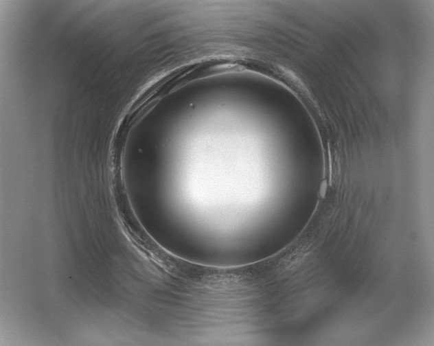 X0000065950435200603061128