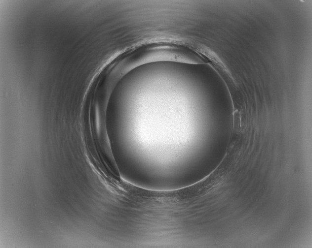X0000065950436200603061128