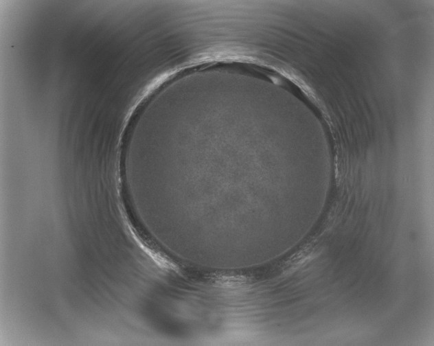 X0000065950438200603061128