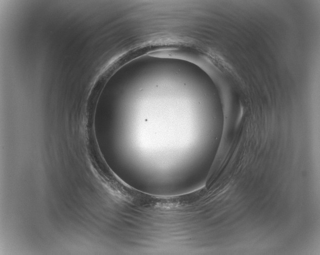 X0000065950440200603061128