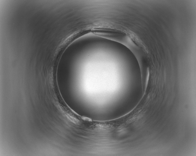 X0000065950442200603061128