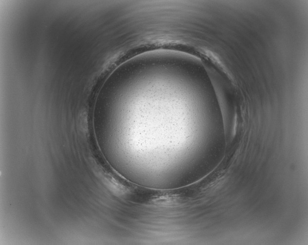X0000065950447200603061129