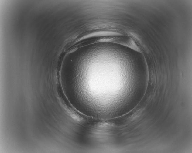 X0000065950453200603061129
