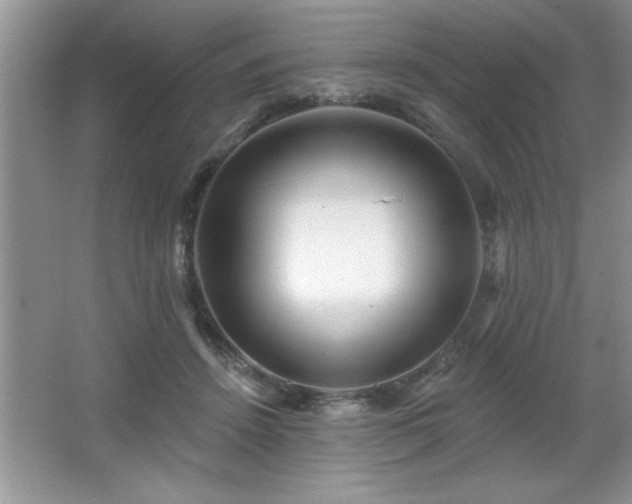 X0000065950456200603061129