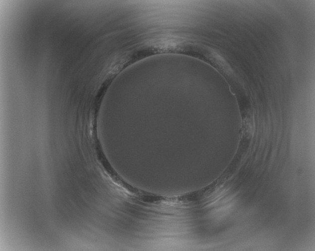 X0000065950458200603061129